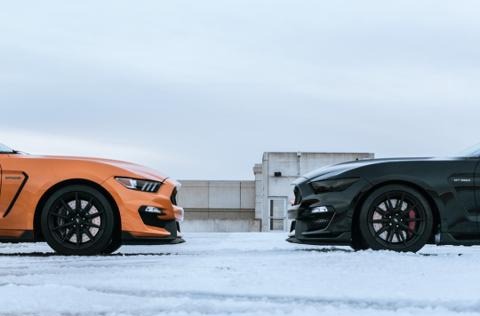Road-Ready for Calgary Conditions